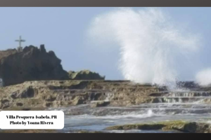 Movement of Water