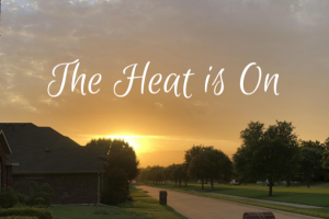 Heat Can Refine or Ruin